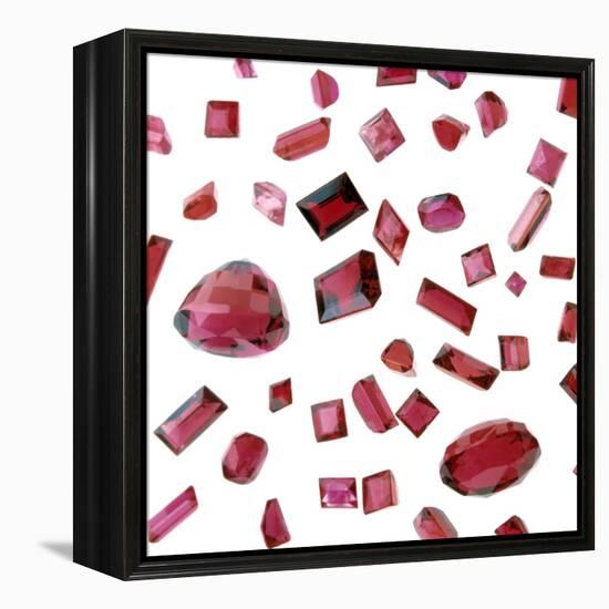 Precious Gemstones-Lawrence Lawry-Framed Premier Image Canvas