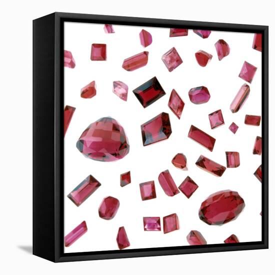 Precious Gemstones-Lawrence Lawry-Framed Premier Image Canvas