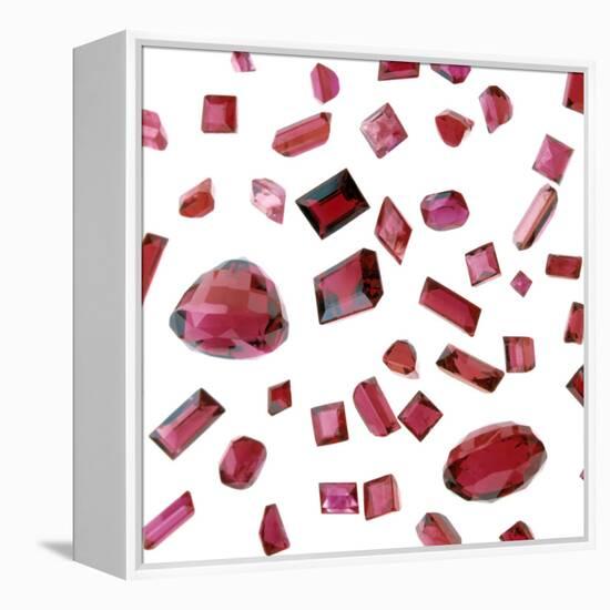 Precious Gemstones-Lawrence Lawry-Framed Premier Image Canvas