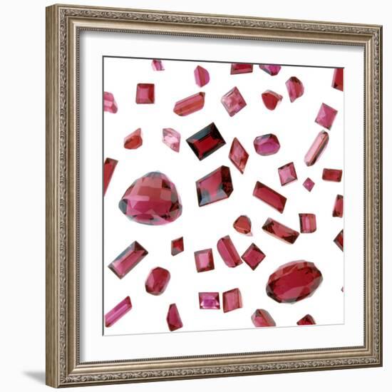 Precious Gemstones-Lawrence Lawry-Framed Premium Photographic Print