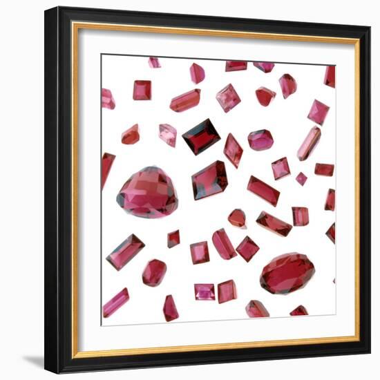 Precious Gemstones-Lawrence Lawry-Framed Premium Photographic Print