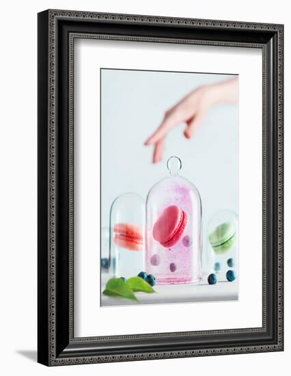 Precious Macarons-Dina Belenko-Framed Photographic Print