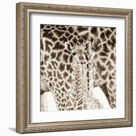 Precious Moments II-Susann & Frank Parker-Framed Art Print