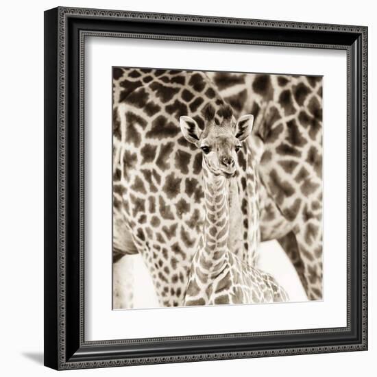 Precious Moments II-Susann & Frank Parker-Framed Art Print