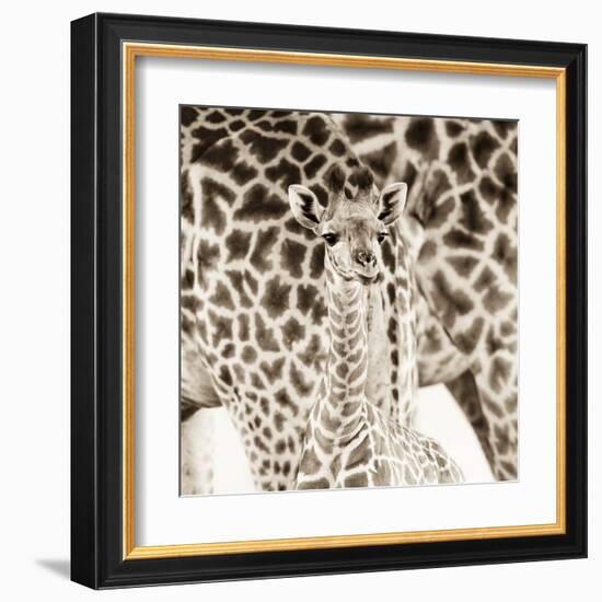 Precious Moments II-Susann & Frank Parker-Framed Art Print