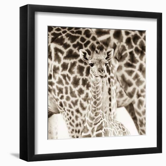 Precious Moments II-Susann & Frank Parker-Framed Art Print