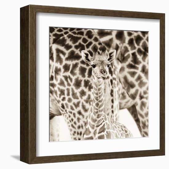 Precious Moments II-Susann & Frank Parker-Framed Art Print