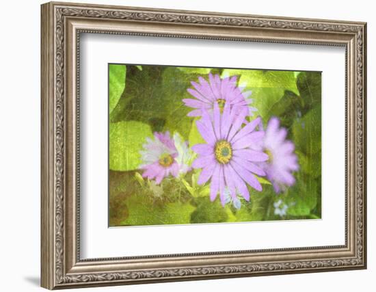 Precious Moments-Viviane Fedieu Daniel-Framed Photographic Print