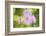 Precious Moments-Viviane Fedieu Daniel-Framed Photographic Print