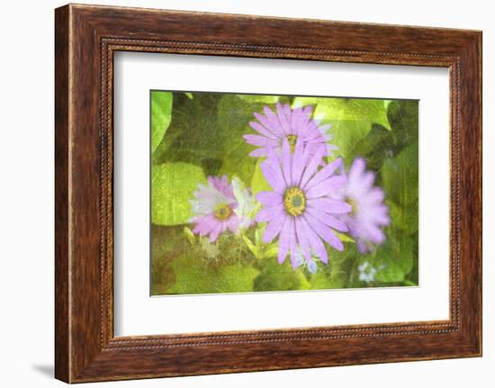 Precious Moments-Viviane Fedieu Daniel-Framed Photographic Print