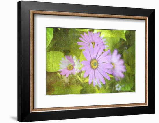 Precious Moments-Viviane Fedieu Daniel-Framed Photographic Print