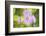 Precious Moments-Viviane Fedieu Daniel-Framed Photographic Print