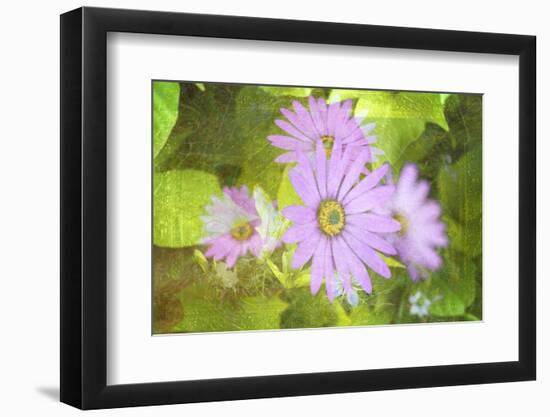 Precious Moments-Viviane Fedieu Daniel-Framed Photographic Print