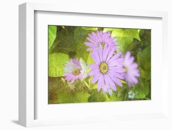 Precious Moments-Viviane Fedieu Daniel-Framed Photographic Print