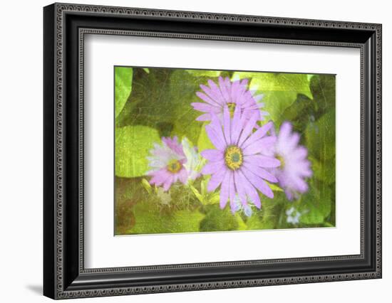 Precious Moments-Viviane Fedieu Daniel-Framed Photographic Print