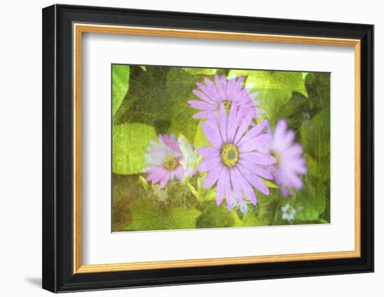 Precious Moments-Viviane Fedieu Daniel-Framed Photographic Print