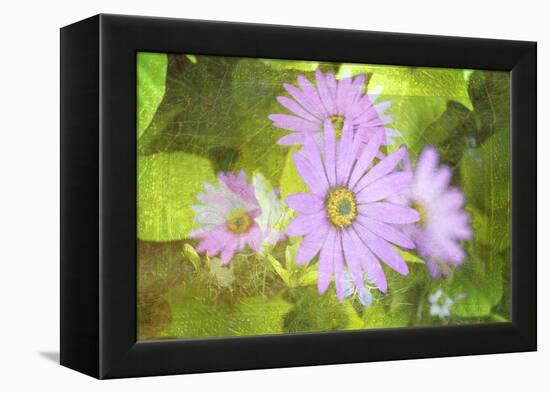 Precious Moments-Viviane Fedieu Daniel-Framed Premier Image Canvas