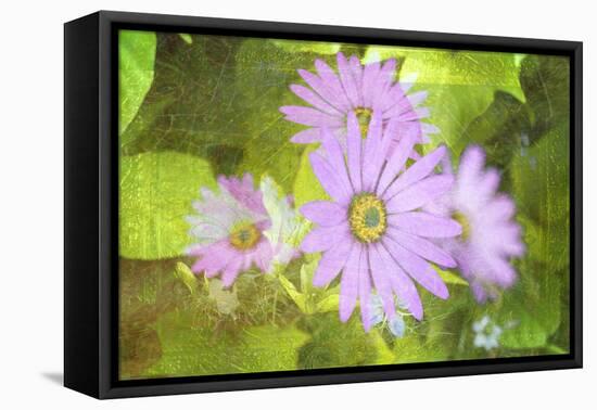 Precious Moments-Viviane Fedieu Daniel-Framed Premier Image Canvas