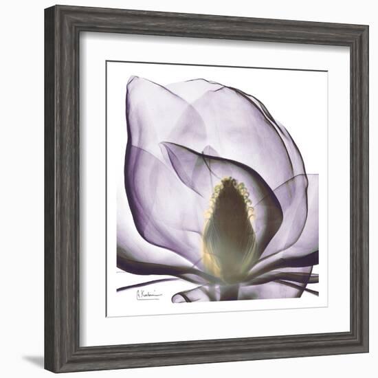 Precious Orchid in Purple Close-Albert Koetsier-Framed Art Print