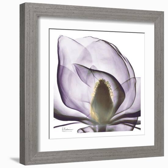 Precious Orchid in Purple Close-Albert Koetsier-Framed Art Print