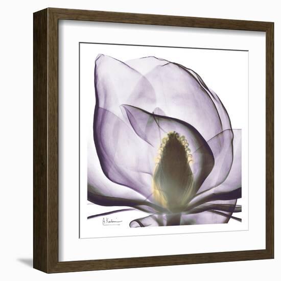 Precious Orchid in Purple Close-Albert Koetsier-Framed Art Print