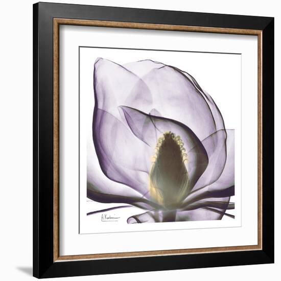 Precious Orchid in Purple Close-Albert Koetsier-Framed Art Print