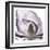 Precious Orchid in Purple Close-Albert Koetsier-Framed Art Print