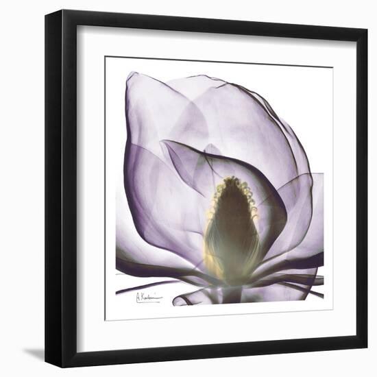 Precious Orchid in Purple Close-Albert Koetsier-Framed Art Print