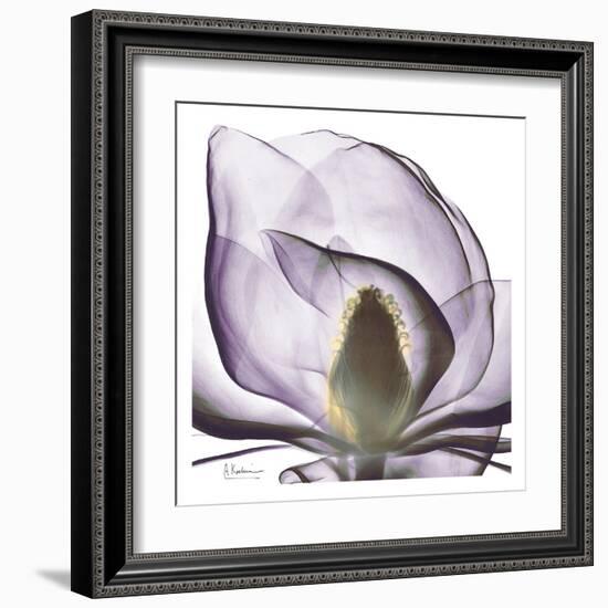 Precious Orchid in Purple Close-Albert Koetsier-Framed Art Print