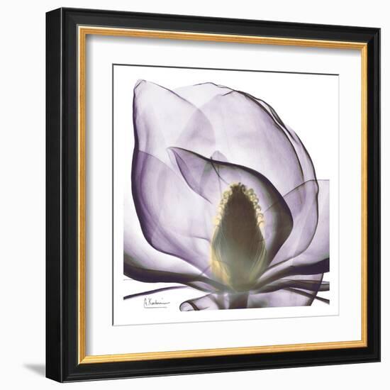 Precious Orchid in Purple Close-Albert Koetsier-Framed Art Print