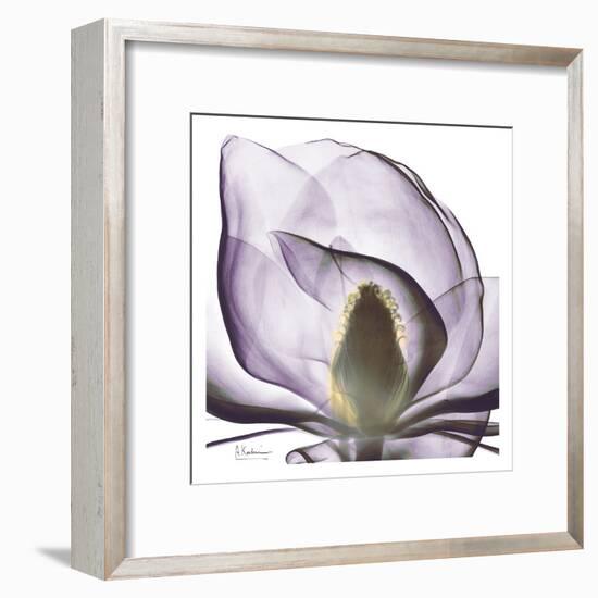 Precious Orchid in Purple Close-Albert Koetsier-Framed Art Print