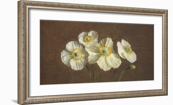 Precious Poppies-Janel Pahl-Framed Giclee Print