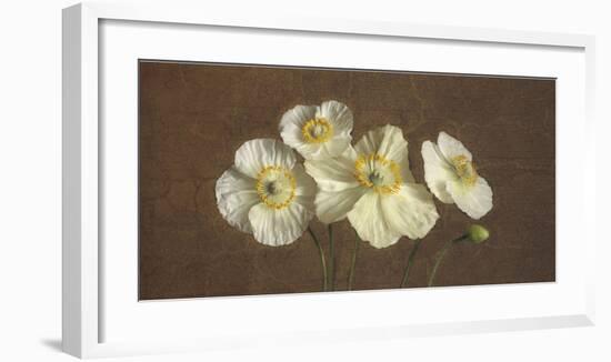 Precious Poppies-Janel Pahl-Framed Giclee Print