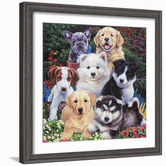 Precious Puppies-Jenny Newland-Framed Giclee Print