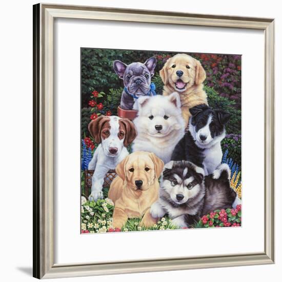 Precious Puppies-Jenny Newland-Framed Giclee Print