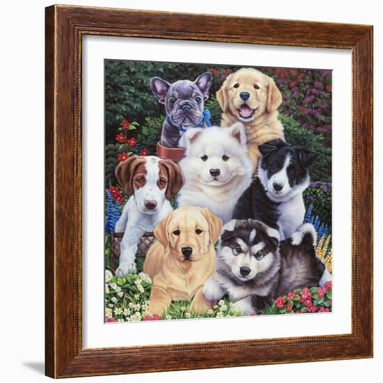 Precious Puppies-Jenny Newland-Framed Giclee Print