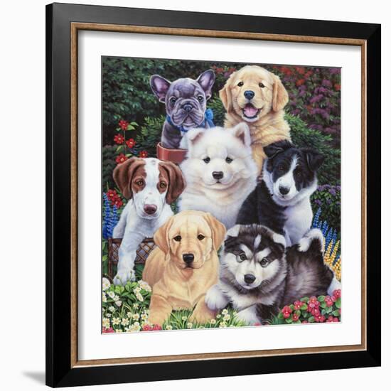 Precious Puppies-Jenny Newland-Framed Giclee Print