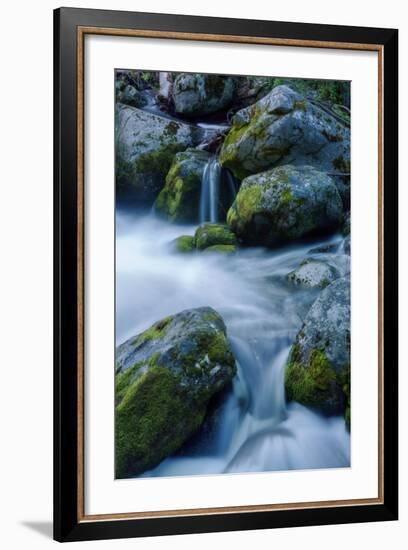 Precious Water, Alder Creek-Vincent James-Framed Photographic Print
