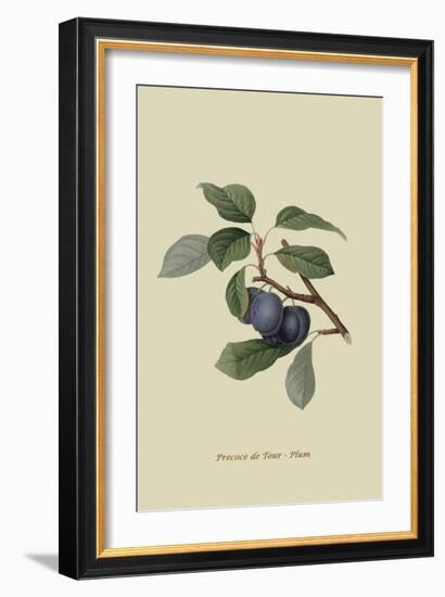 Precoce De Tour - Plum-William Hooker-Framed Art Print