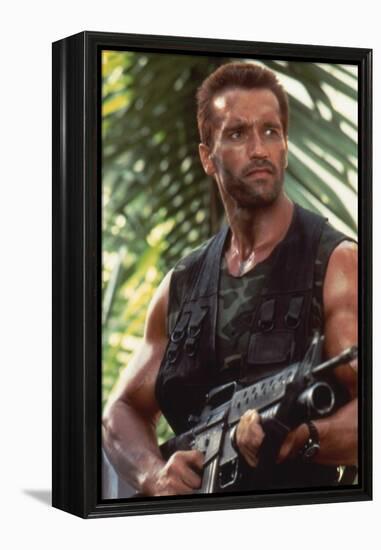 PREDATOR, 1987 directed by JOHN McTIERNAN Arnold Scharzenegger (photo)-null-Framed Stretched Canvas
