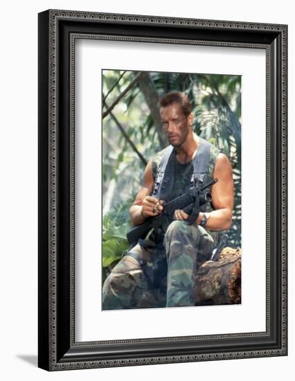 PREDATOR, 1987 directed by JOHN McTIERNAN Arnold Scharzenegger (photo)-null-Framed Photo