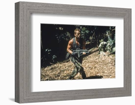 PREDATOR, 1987 directed by JOHN McTIERNAN Arnold Scharzenegger (photo)-null-Framed Photo