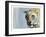 Predator (Arabian Leopard), 2009-Mark Adlington-Framed Giclee Print