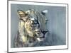 Predator II (Arabian Leopard), 2009-Mark Adlington-Mounted Giclee Print