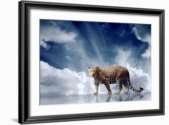 Predator Stay On The Sky Background-yuran-78-Framed Photographic Print