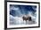 Predator Stay On The Sky Background-yuran-78-Framed Photographic Print