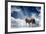 Predator Stay On The Sky Background-yuran-78-Framed Photographic Print