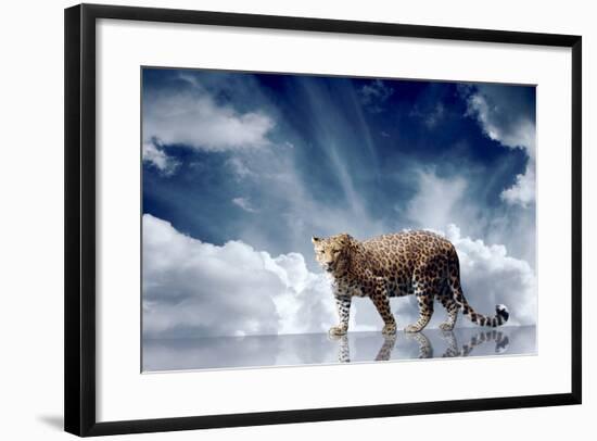 Predator Stay On The Sky Background-yuran-78-Framed Photographic Print