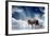 Predator Stay On The Sky Background-yuran-78-Framed Photographic Print