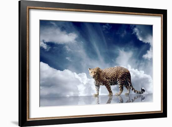 Predator Stay On The Sky Background-yuran-78-Framed Photographic Print